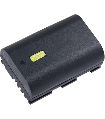 Amazon.com : Battery Pack for Canon EOS 7D, 7D Mark II, 7D MK II